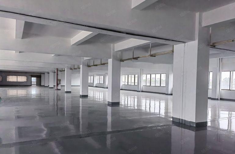 中堂镇原房东标准独院厂房大小分租现成装修实际面积出租工业用地