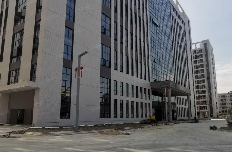 中堂镇8万平方全新高科技产业园低价出租（可分租280平方起）