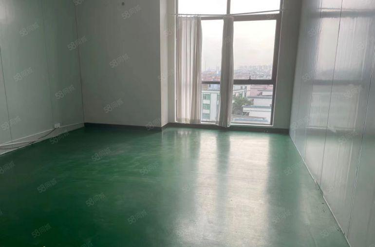 中堂鹤田新出标准楼房，房东低价甩租