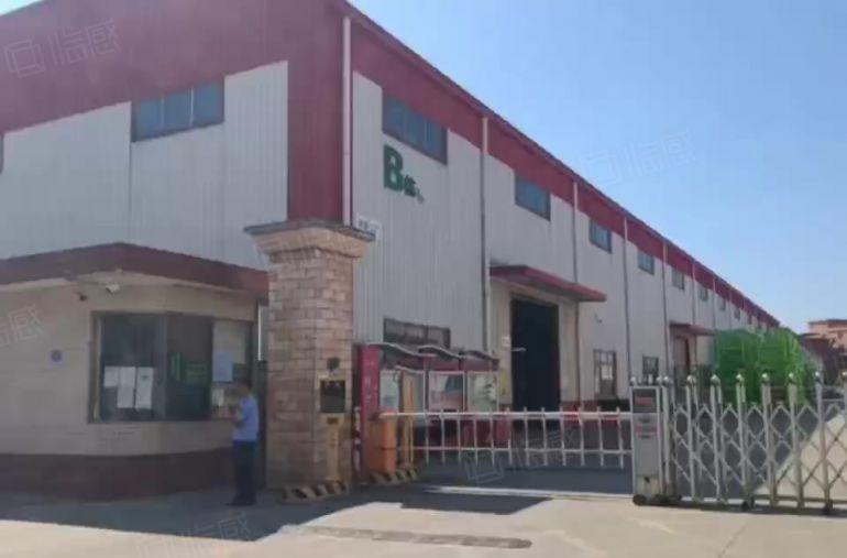 中堂新出单一层钢构厂房，滴水12米，牛角9米，大小车随意进出