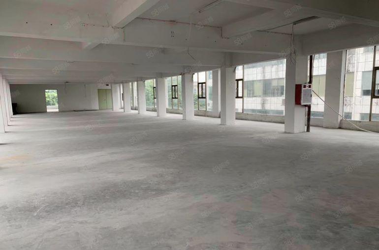 中堂江南标准厂房和钢构滴水10米厂房出租