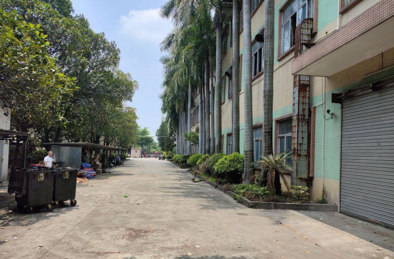 东莞高埗靠东城新出花园式标准独院厂房出租空地大形象好行业不限