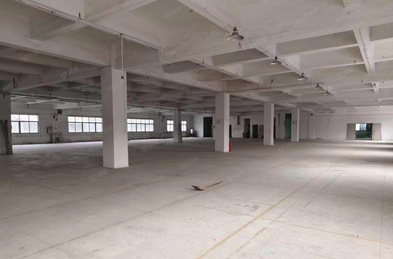 高埗独院厂房8.8元出租，适合电子仓库注塑等个行业