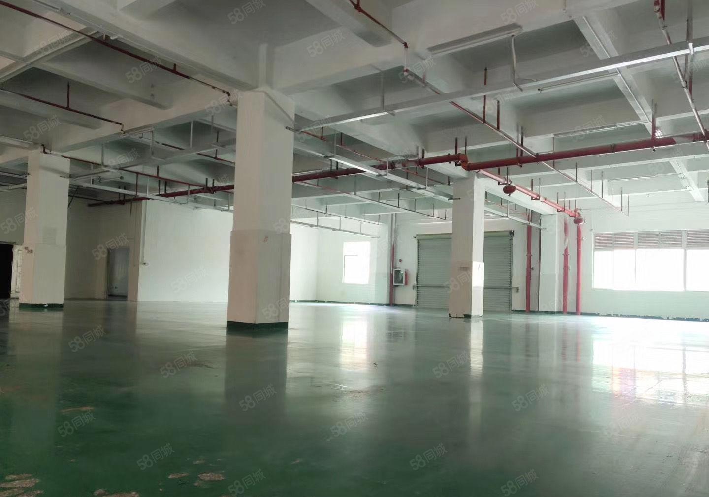 固戍宝安大道旁大型厂房出租1500平大小可分