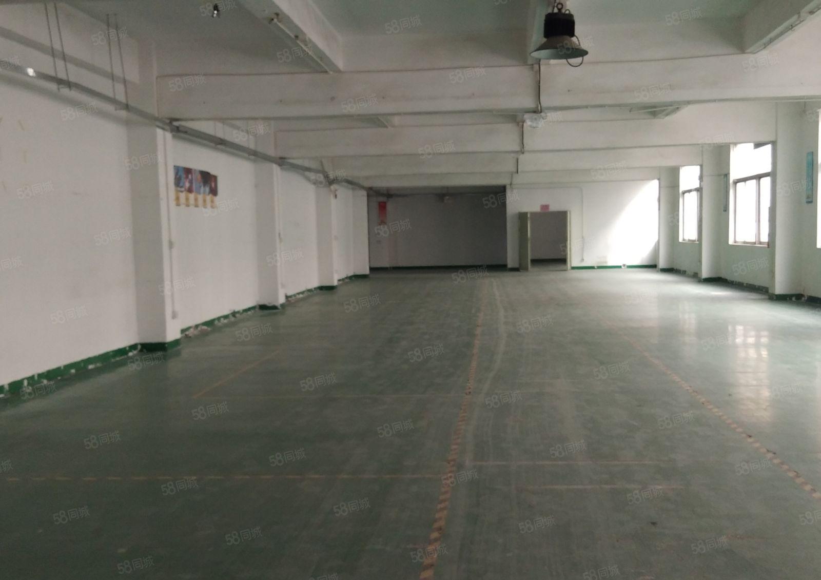 西乡鹤州阳光工业园楼上精装修1705平