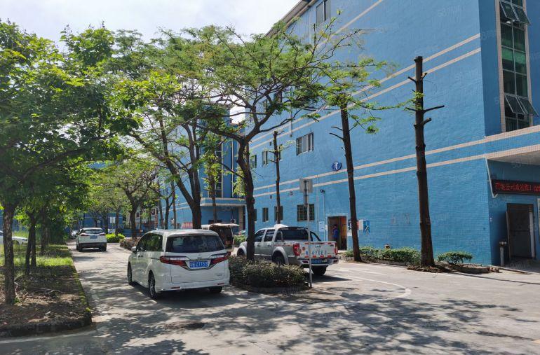 松岗大田洋原房东独院厂房13层4500一楼高6米红本过环