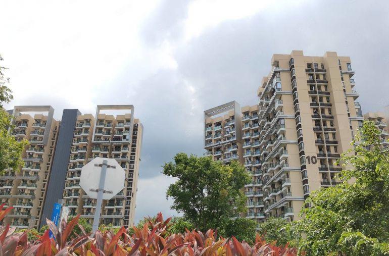 西乡新出原房东超长免租期6个月，200平起租