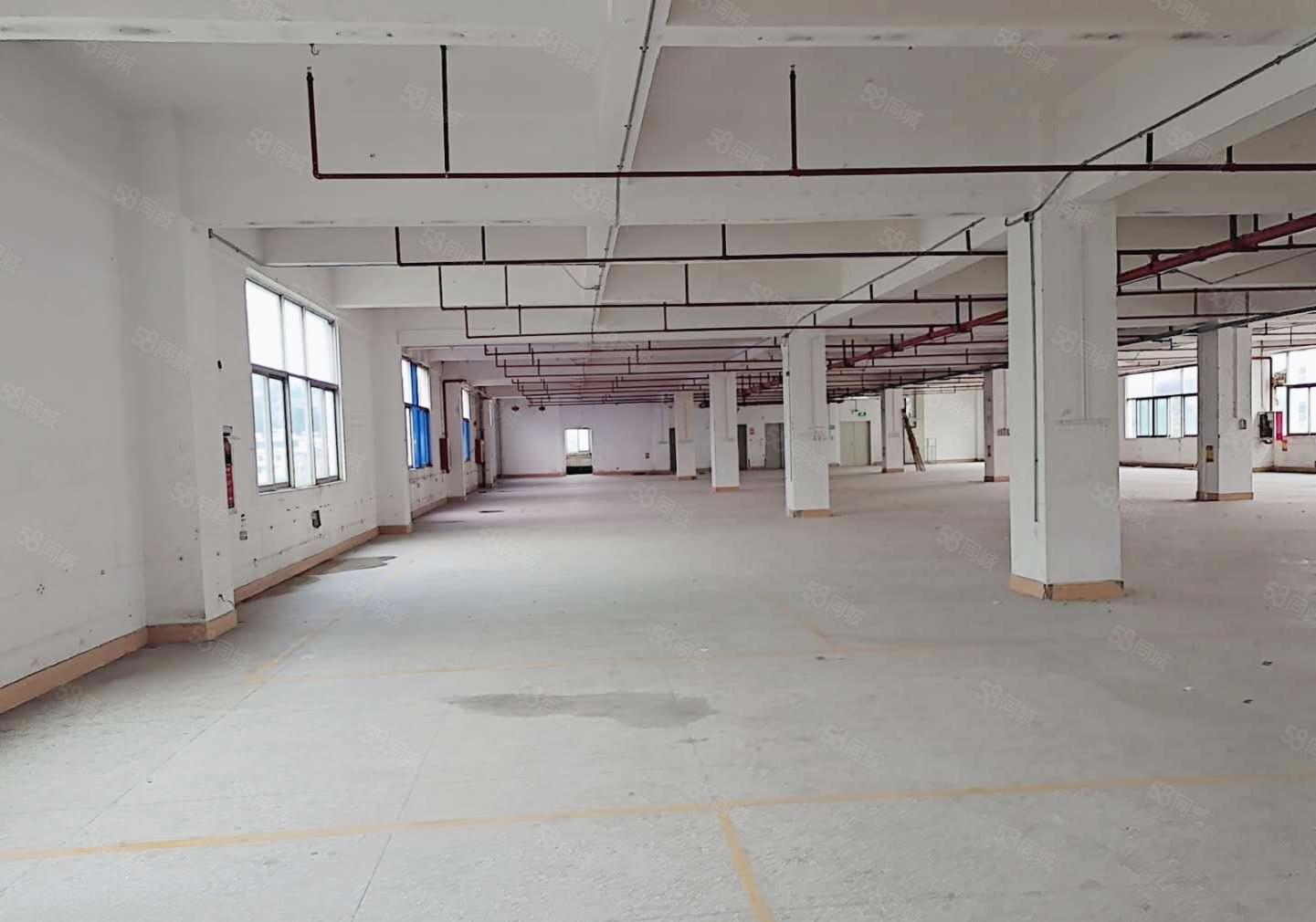 100起租宝安福永塘尾工业园2万厂房一楼仓库出租转租空地大