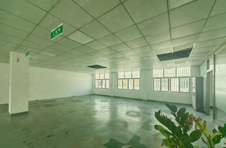 松岗红星工业区独院厂房出租 3层4500平米 高度6米可分租