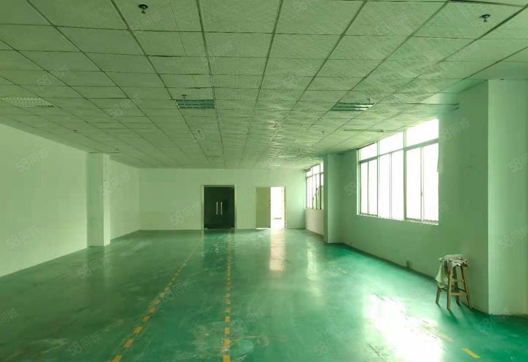 西乡九围2楼厂房仓库招商1800平28元1平可进大车免租期长