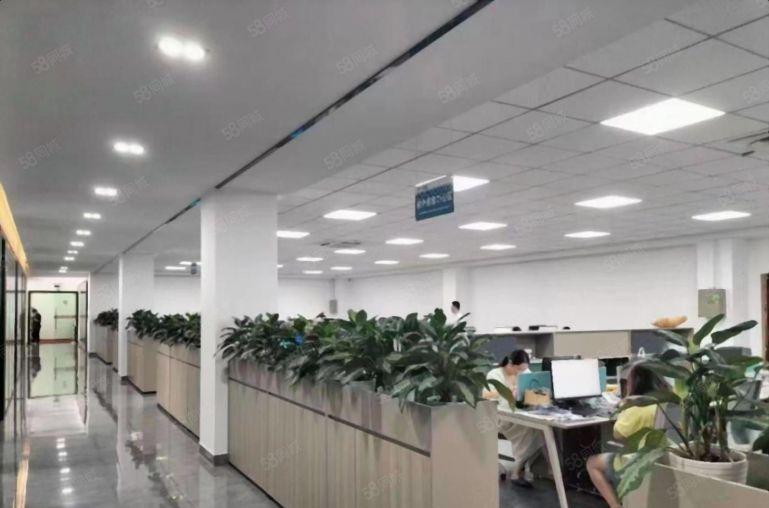 西乡全新产业园1000平起厂房写字楼出租电改无公摊