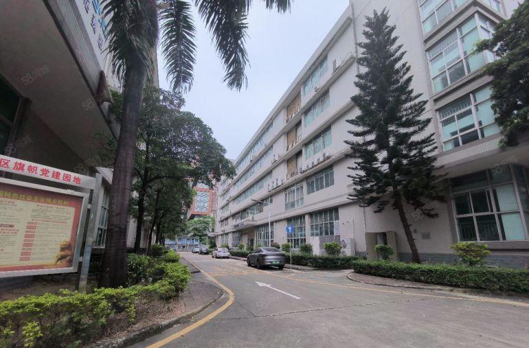 沙井马安山原房东带红本200平起带装修适合电商贸易科技公司