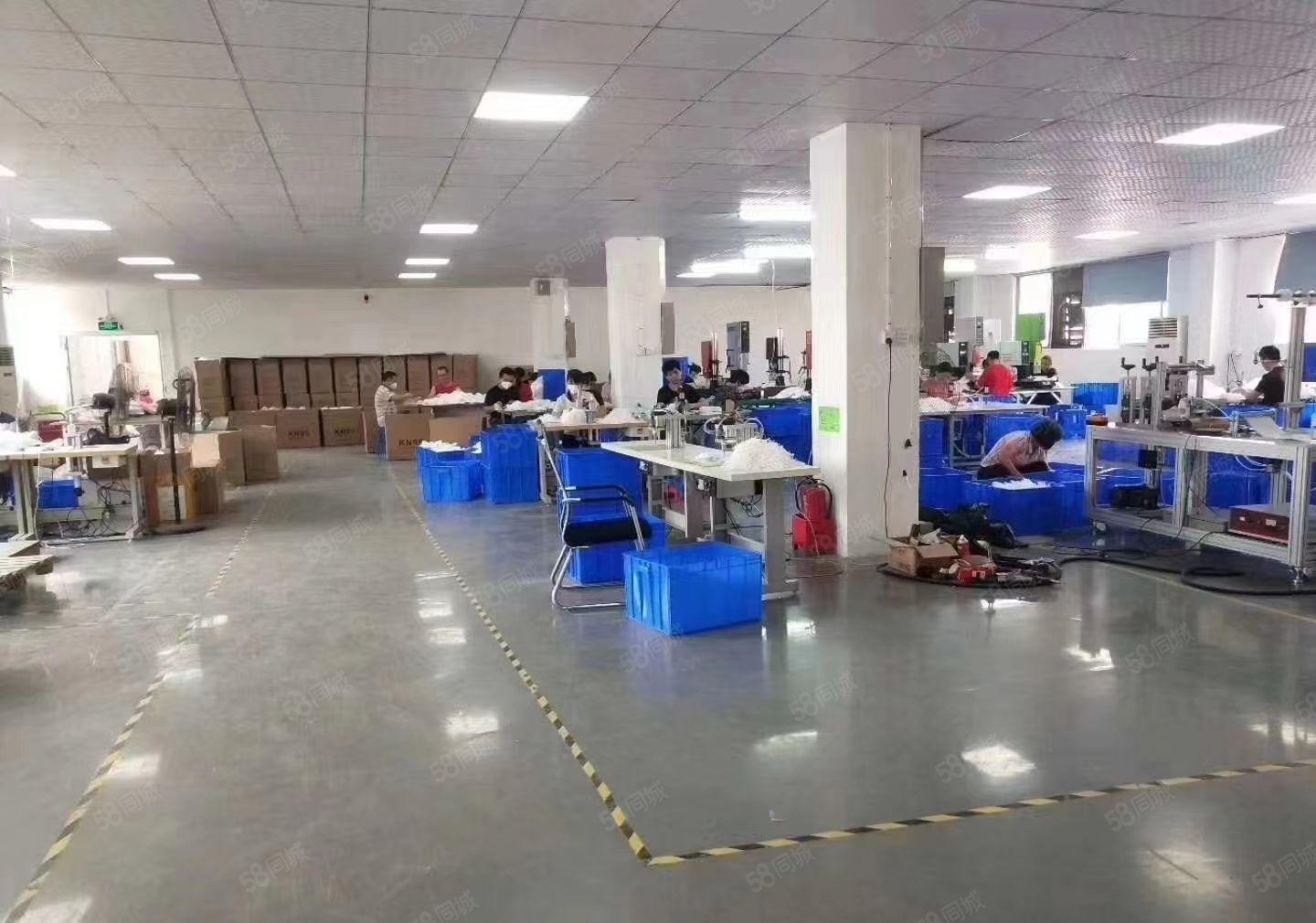 石岩三万平红本厂房 物流仓库 大小分租 原房东 精装修