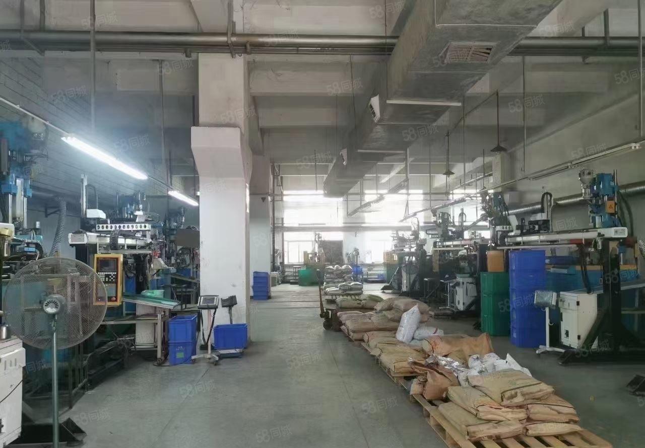 松岗大田洋一楼3000平，高度5.8米，带牛角，电200，