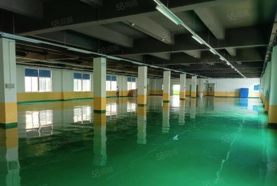 空地超大石岩新空出原房东园区厂房一楼380平出租形象好