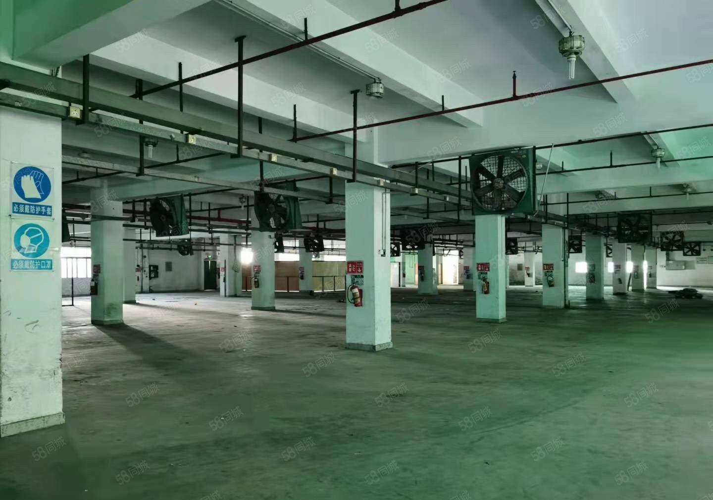 松岗仓库出租12000平可长租短租价格实惠300起租