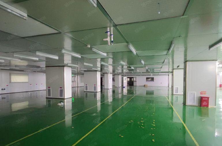 石岩北环独门独院独栋9000平村委厂房出租精装修无尘车间红本