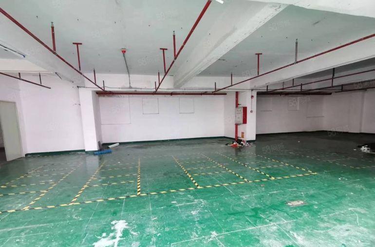 沙井新天附近楼上270平，2间办公室加前台，主线到位.