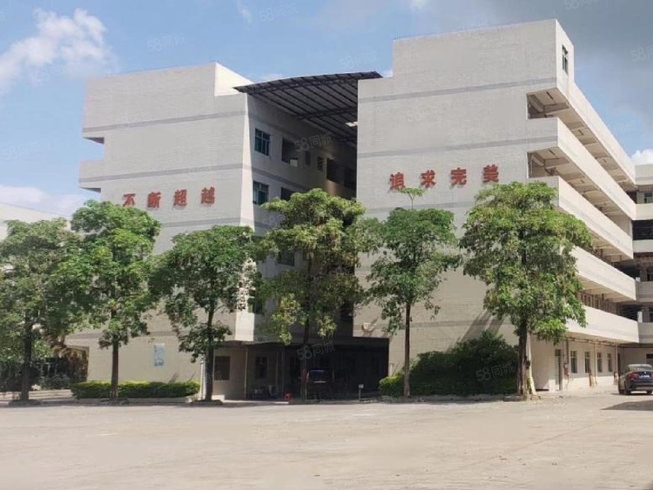 松岗红本厂房出租300平起租 独院15000平 价格实惠