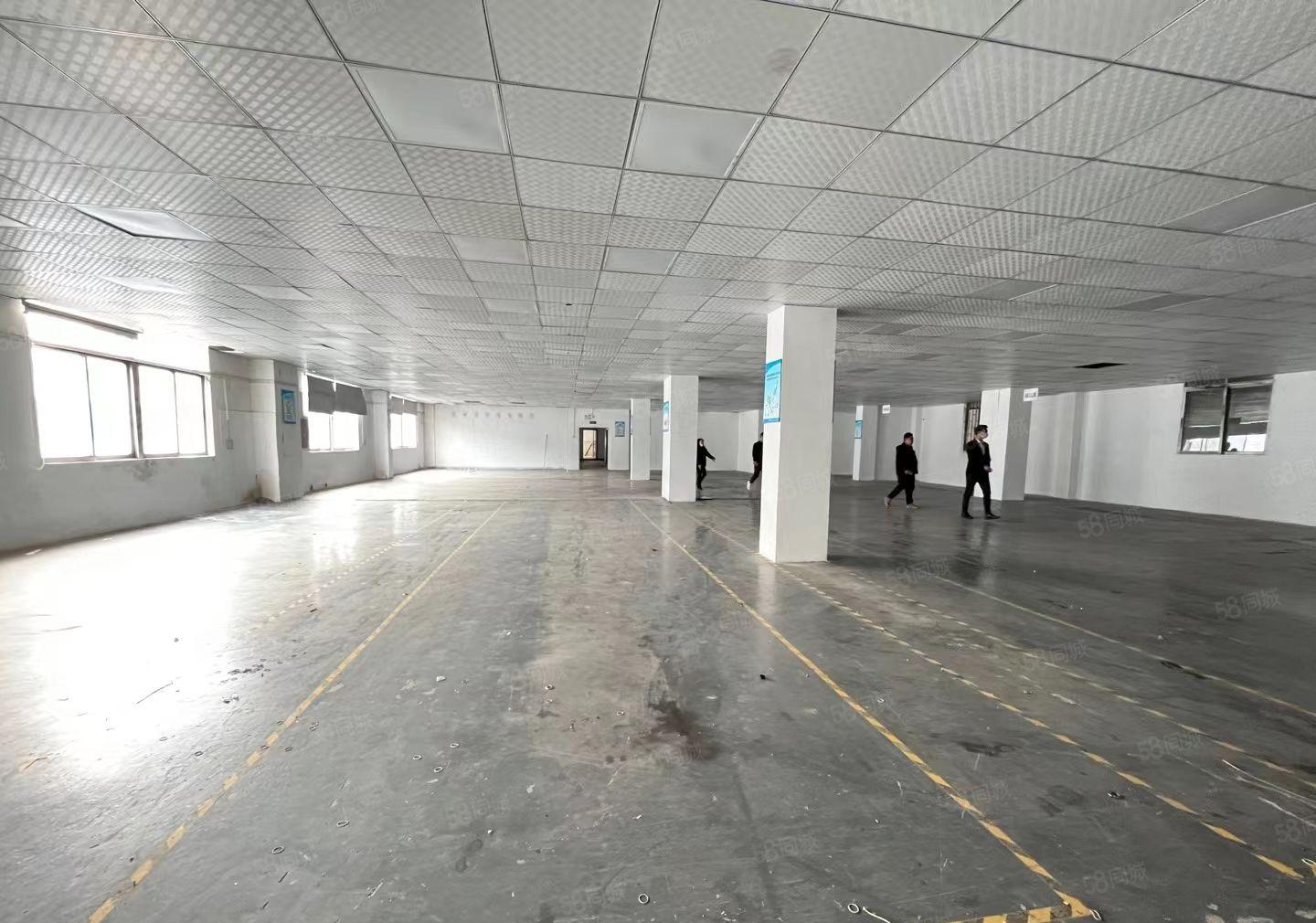 松岗碧头地铁口附近原房东独门独院厂房1到3层5000平带红本