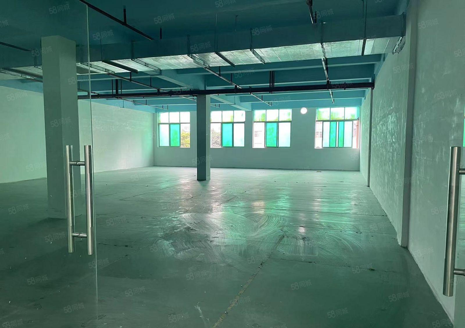 新桥107国道旁厂房大小分租