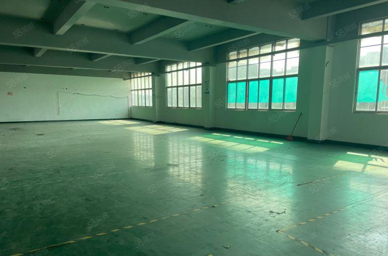 1500平方南环路边精装修厂房出租价格便宜适合各种行业