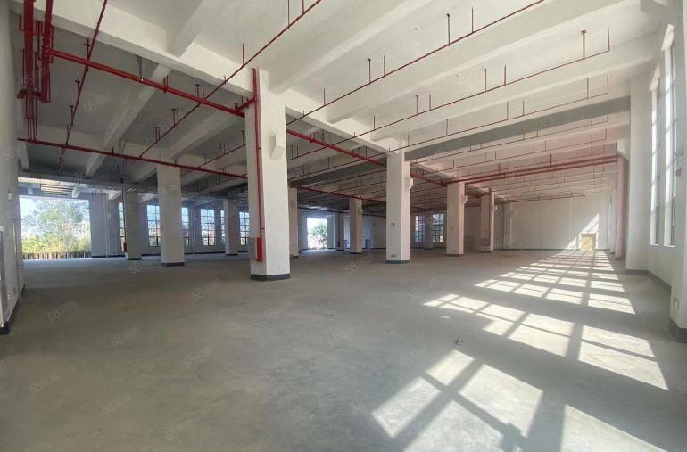 松岗地铁站旁全新红本厂房原房东直租1000平方起租分租