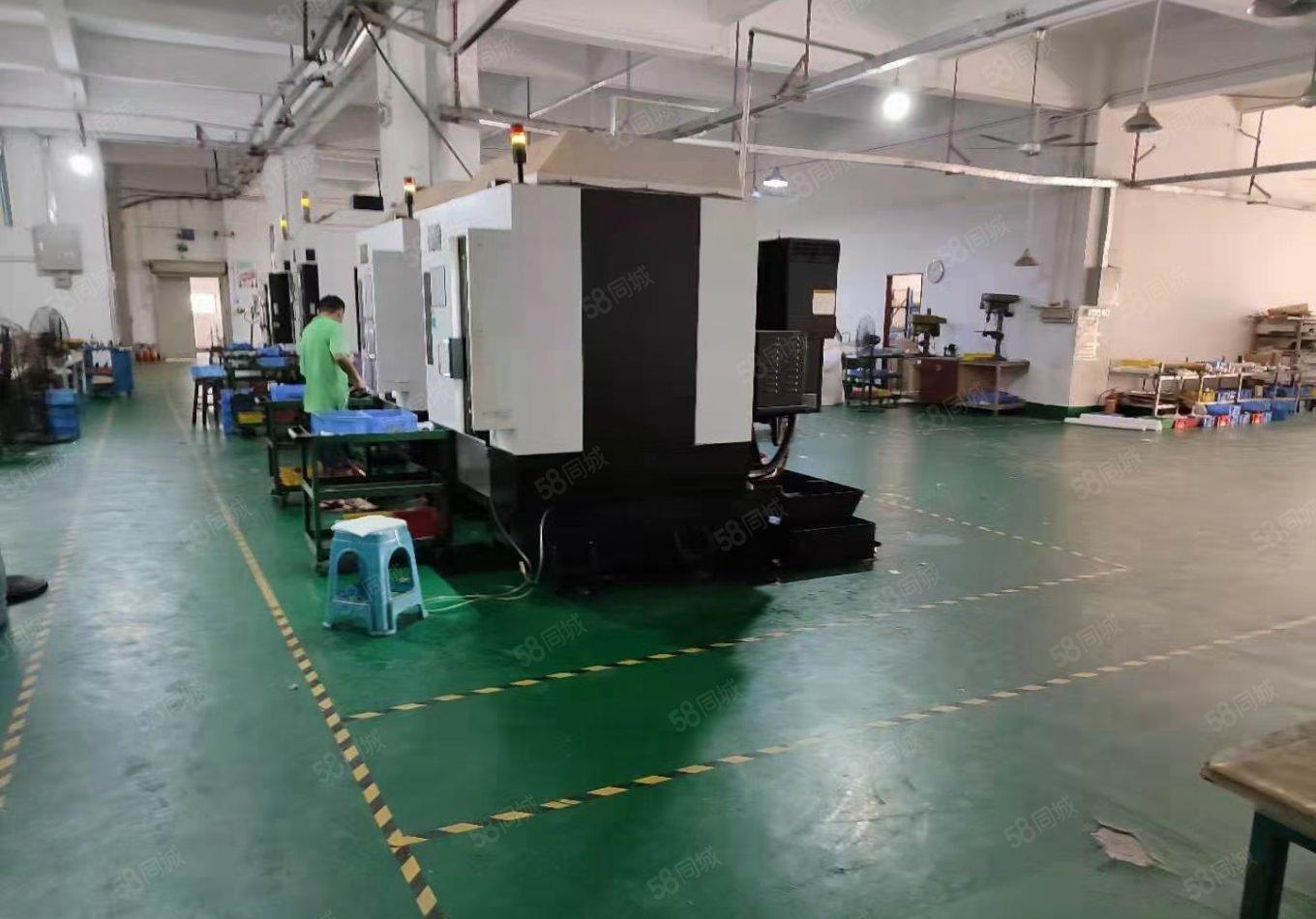 厂房出租松岗原房东独院2600平带精装修厂房