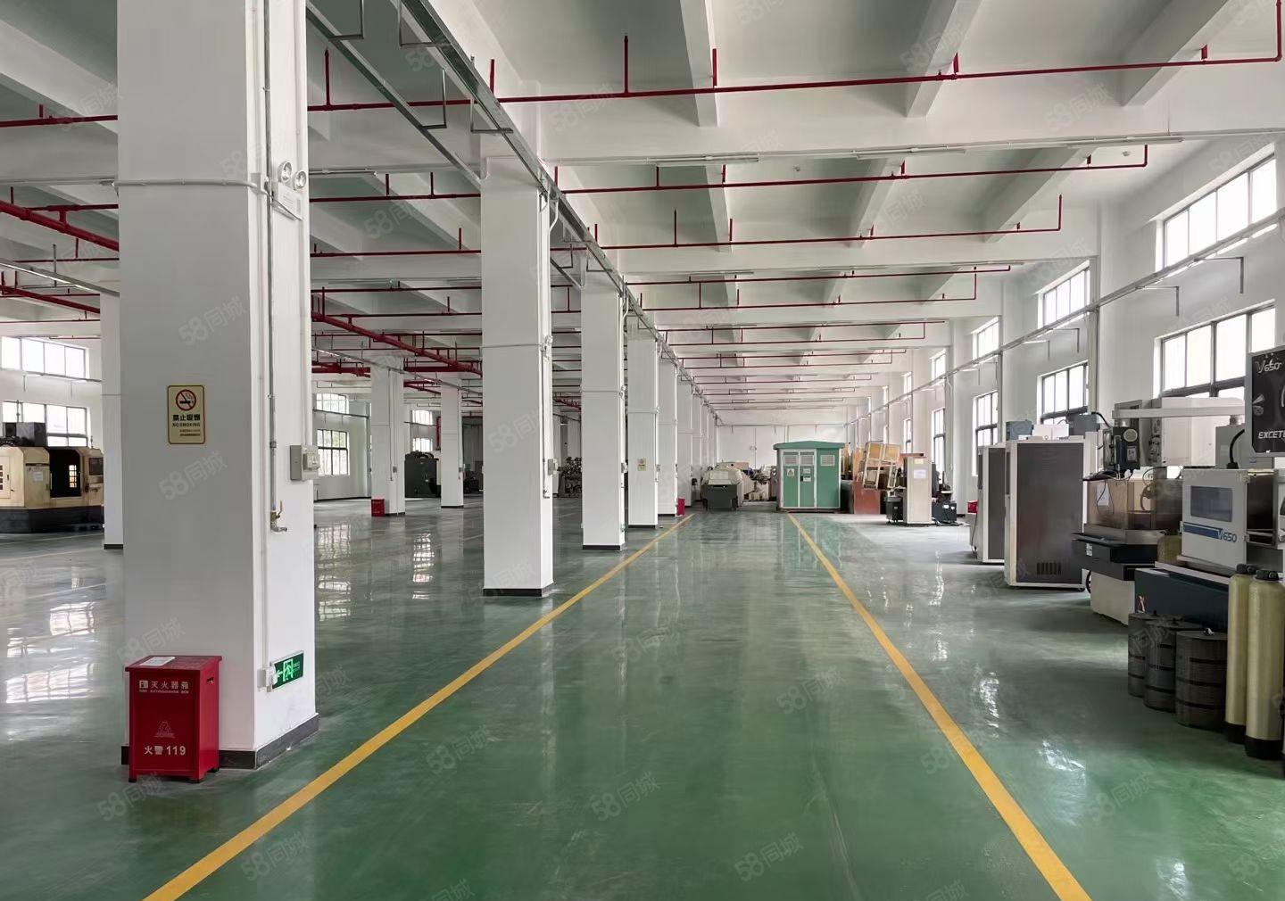 松岗独门独院厂房 送空地，送院子，适合任何行业