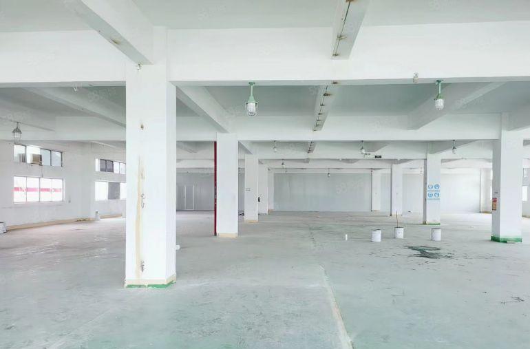 580平平小面积分租厂房另一家已经隔好墙