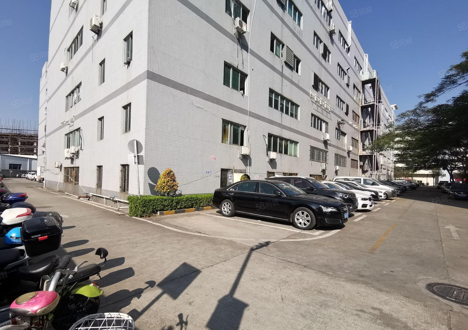 福永桥头地铁口200平至3000平厂房出租 精装修，拎包入住