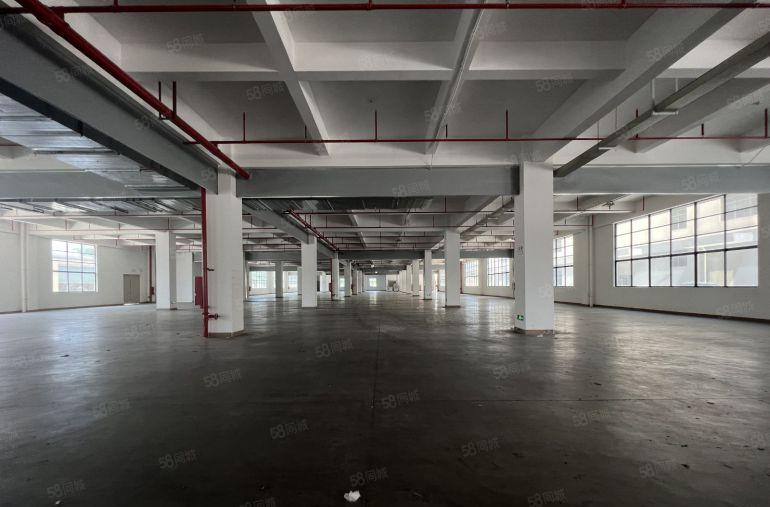 沙井原房东一楼红本厂房2380平方出租带卸货平台地坪漆空地大