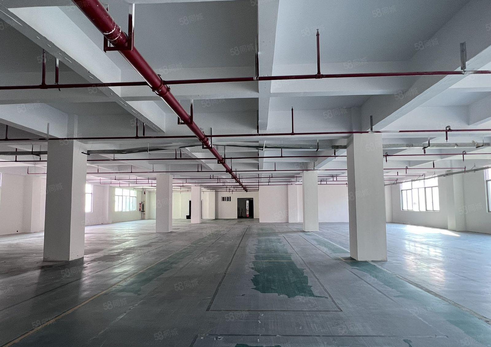 西乡厂房1385平米 带办公室 租29元 周边生活区好招工