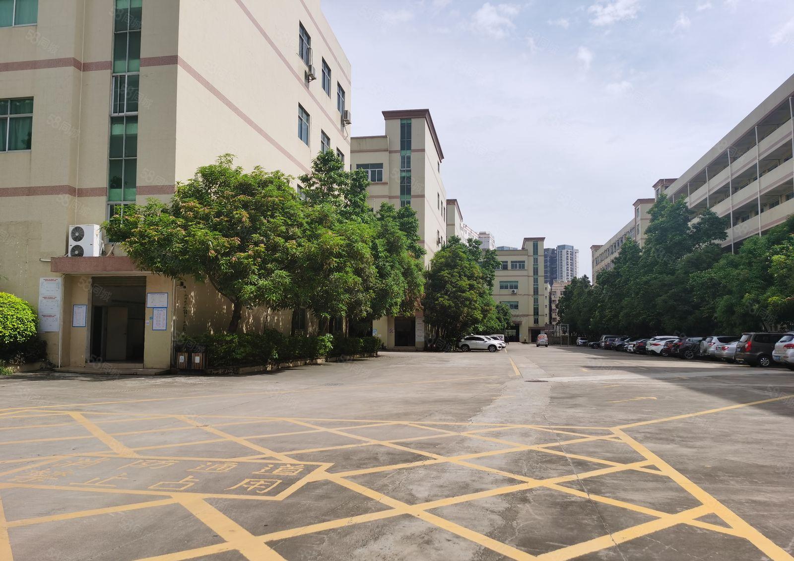 福永107国道凤凰精精装修1000平米厂房出租分租办公室仓库