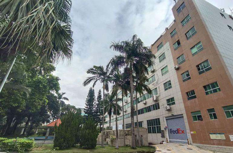 西乡钟屋1楼高6.5米电改园区1600平单层面积独院厂房出租