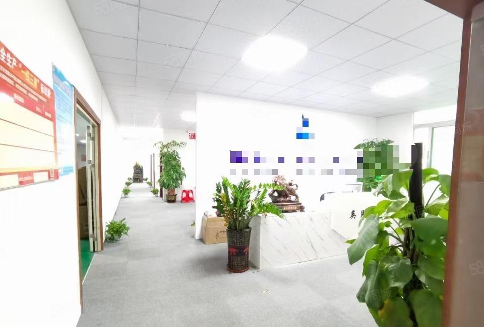 沙井原房东红本精整层装修800平米工业园区厂房出租仓库电商