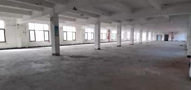 深圳宝安厂房出租沙井4000平工业园工业仓库出租一楼独院厂房