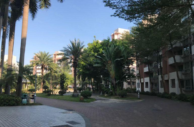 宝安石岩塘头大道原房东花园式厂房一楼整层4280平米实际面积