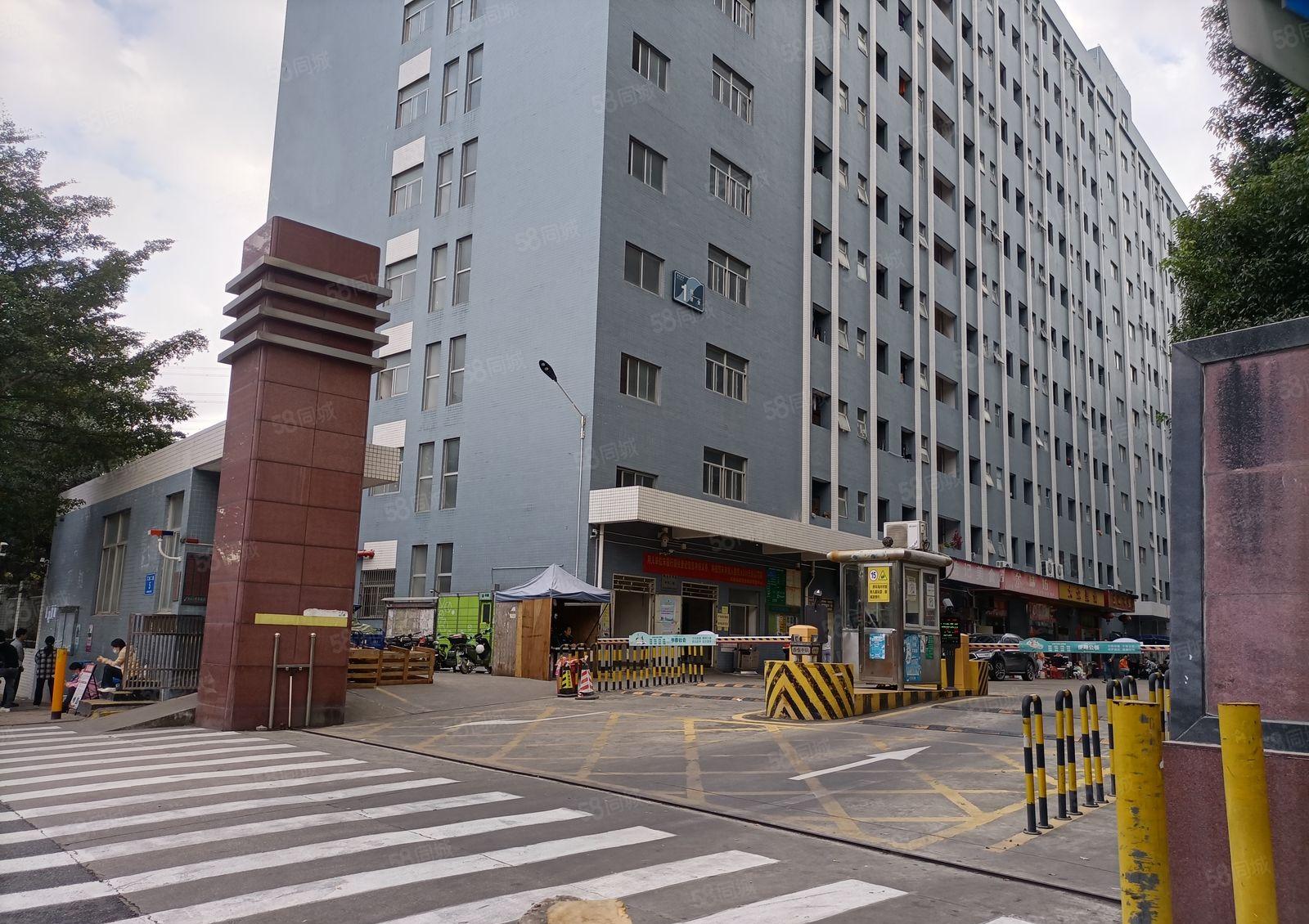 石岩石龙仔工业区 高速口精装修仓库厂房出租1000平，可分租