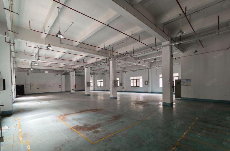 西乡固戍一楼800平方厂房出租无公摊实际面积出租