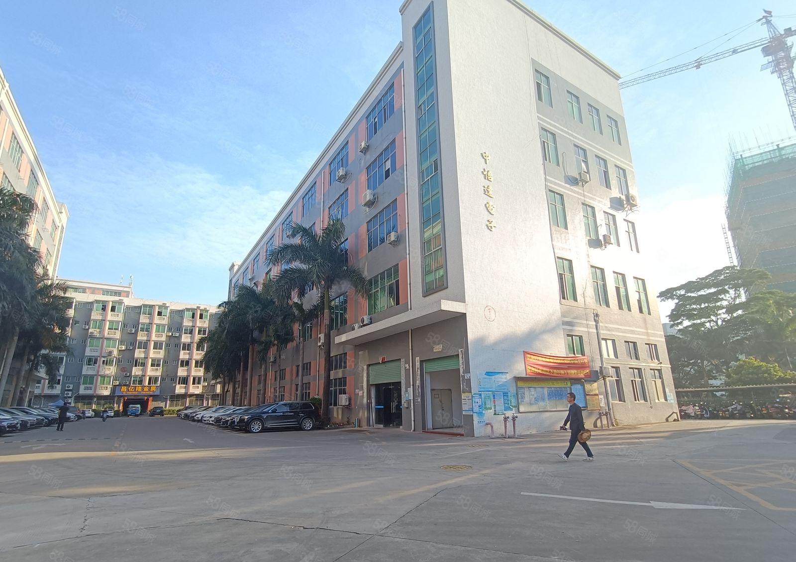 原房东低价200平起租独院带装修停车免费一楼厂房仓库出租