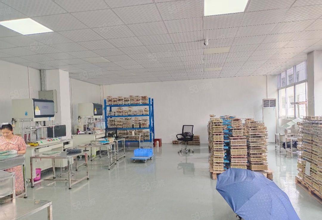 宝安西乡黄田独门独户整层带豪华装修1000平