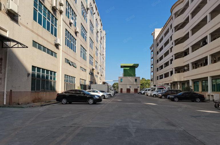 石岩料坑精装厂房出租一二楼5000平分租一楼6米办公仓库招租