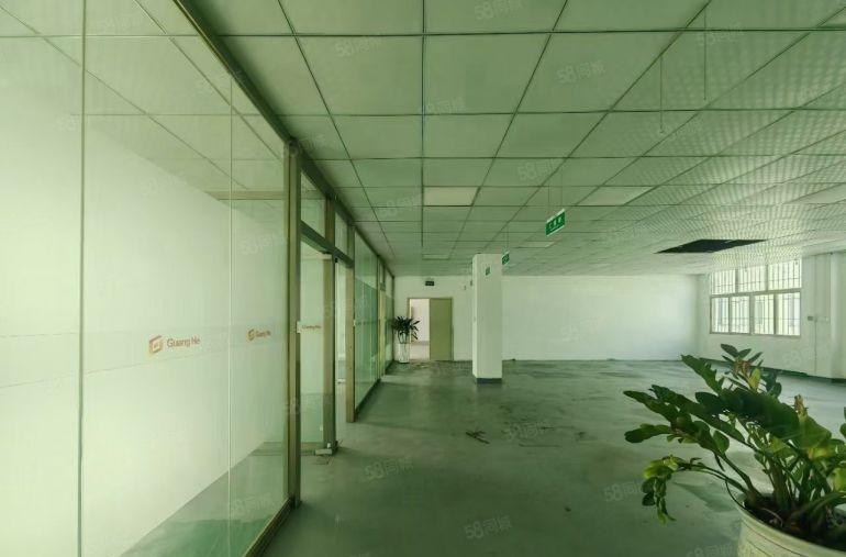 公明马山头工业区独院厂房出租2层2500平米，高度6米可分组