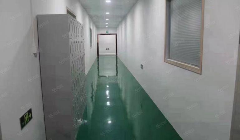 福永和平原房东厂房1000平楼上带豪华精装修办公室车低价出租