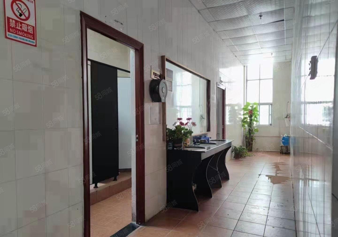 石岩厂房出租1500平米大型工业园区独院独栋大小分租地铁口