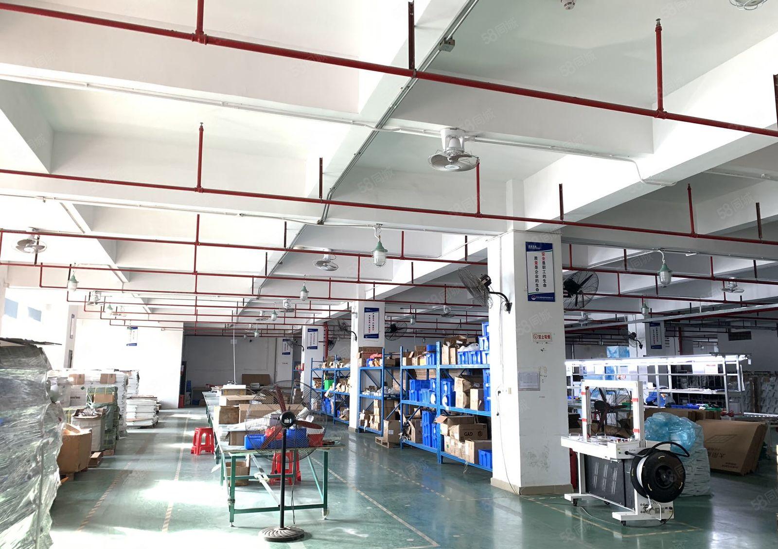 500平起分租松岗潭头原房东厂房仓库5000平精装修厂房出租