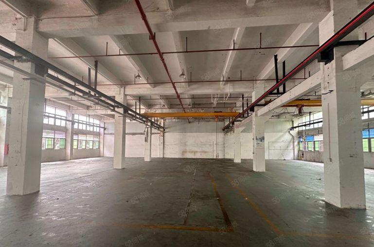 松岗 107国道边独院厂房2800平米高度6米豪华装修可分租