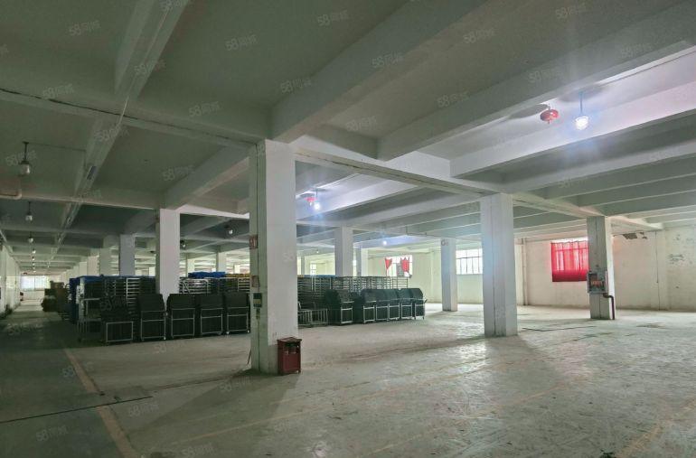 25元每平红本面积整层5000平可分租大型货车出入无忧