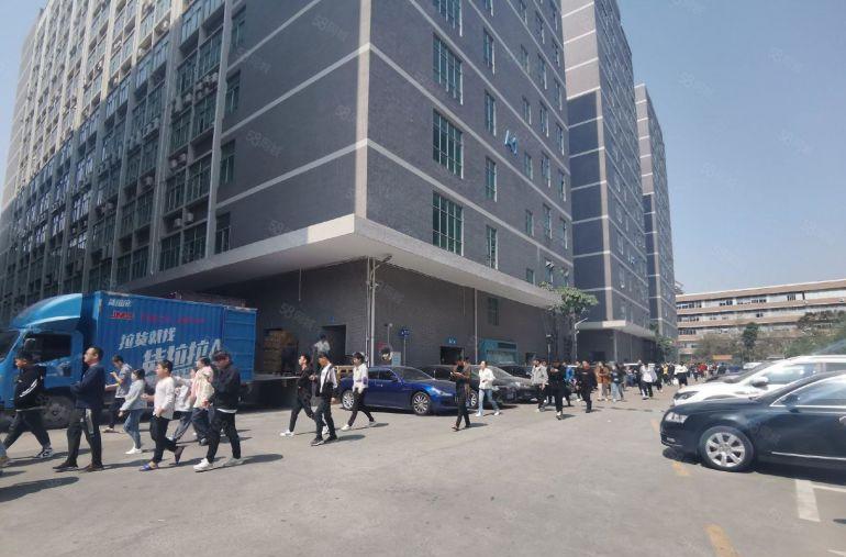 西乡固戍高速口原房东1700平6间玻璃隔断办公室精装修厂房